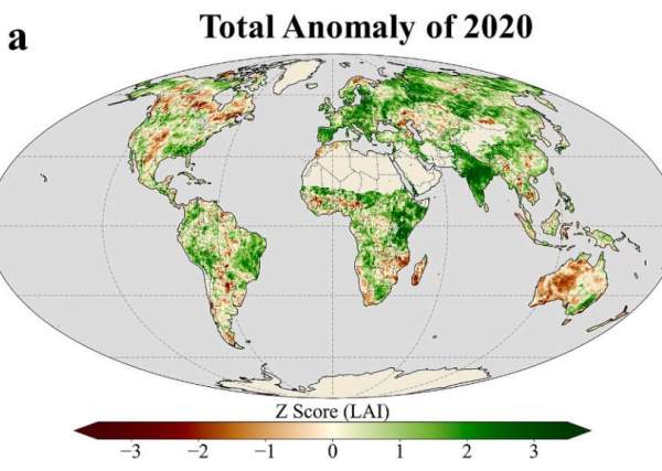 Read more about the article Ученые разобрались в причинах рекордного озеленения Земли в 2020-х